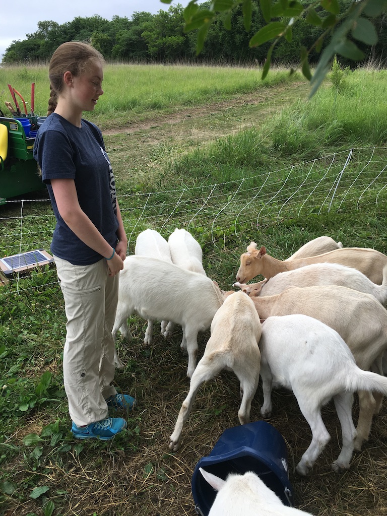 Product or producer image