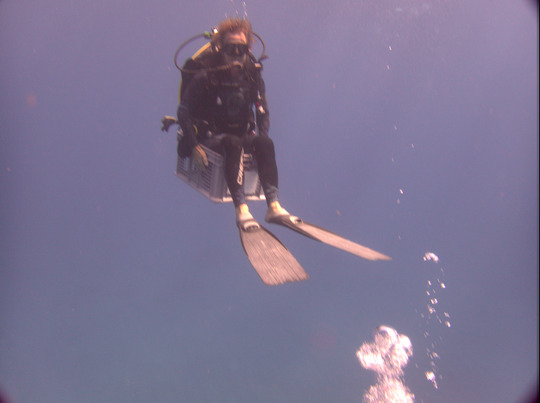 Product or producer image