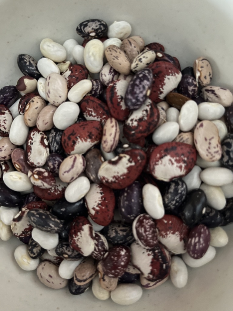 Product or producer image